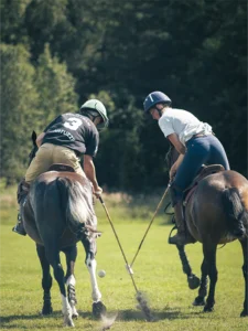 polo_1
