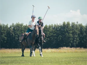 polo_4